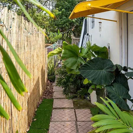 Tropical Cottage In Prime Airport Area Miami Esterno foto